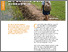 [thumbnail of exploring_soil.pdf]