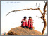 [thumbnail of Issue 27_English March 2026_V3_updated Low.pdf]