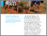 [thumbnail of 4) Soil_Apr 2026.pdf]