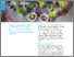 [thumbnail of 6) Growth_Apr 2026.pdf]